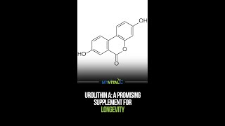 Urolithin A A Promising Supplement for Longevity [upl. by Ezechiel]