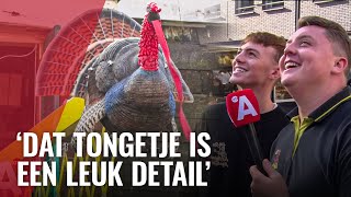 Gigantische koekoeksklok komt uit zolder Ten Katemarkt [upl. by Emmett]