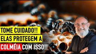 APITOXINA O VENENO PRODUZIDO PELAS ABELHAS  DR ALEX ALVES [upl. by Zimmerman]