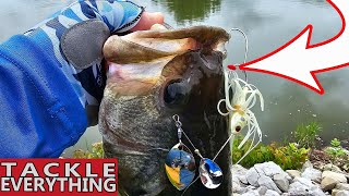 Use THESE 2 BAITS to Conquer NEW WATER [upl. by Lledraw]