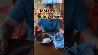 Mole con pollo y arroz comida gastronomia food restaurant chef cocina recetas [upl. by Nnaylloh]