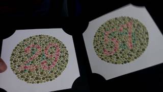 Ishihara color blindness test book with 24 plate vs 38 plate  Dr Sumitra  Bengali [upl. by Gneh21]