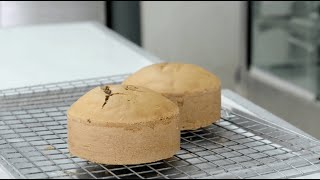 What is an Emulsifier  Knead to Know Basis  BAKERpedia [upl. by Casar615]