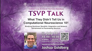 Joshua Goldberg  What They Didn’t Tell Us in Computational Neuroscience 101 TSVP Talk at OIST [upl. by Angelis]