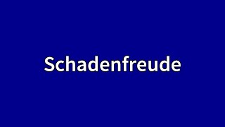 Schadenfreude Meaning [upl. by Volotta]