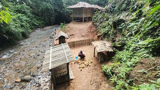 New duck coop design on the farm  Lý Thị Viện [upl. by Yecies]