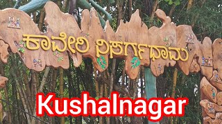 kushalnagar kaveri nisarga dhamaAnithaDsouzat4y trending viralvideo [upl. by Wendy488]