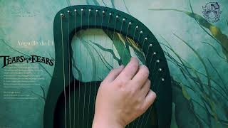 Mad World Tears for Fears Lyreharp Cover [upl. by Anyk]