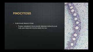 Endocytosis and Exocytosis [upl. by Oiceladni]