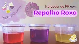 Indicador de PH com Repolho Roxo Experimento  Telecoteco [upl. by Ednew]