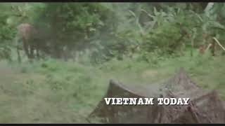 Best Action Film Full 2021 ll movie vietnam new 2021 [upl. by Mac]