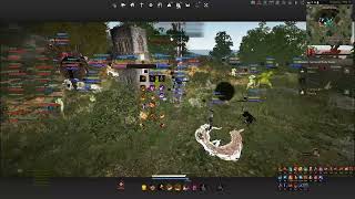 BDO Succession Hashashin T1 Nodewar [upl. by Gauntlett349]