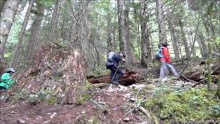 Teneriffe FallsKamikaze Falls [upl. by Asus]