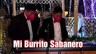 Mi Burrito Sabanero en MARIMBA [upl. by Lebyram]