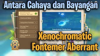 Event Antara Cahaya dan Bayangan Xenochromatic Fontemer Aberrant  Genshin Impact [upl. by Aeneus560]