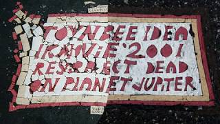 Toynbee Tiles  Thinking Sideways Podcast [upl. by Dalis]