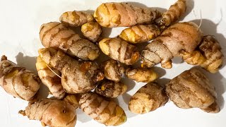 How to store Turmeric Root [upl. by Gloria661]