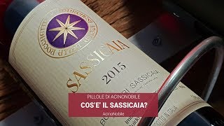 Il Sassicaia di Bolgheri  Storia e successi [upl. by Adnavoj]