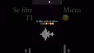 Se filtra audio de Micro TDH💔 microtdh [upl. by Dur]