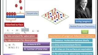 Langmuir adsorption isotherm derivation animation video 12 CHEMISTRYBSc MSc Chemisrey [upl. by Kroy673]