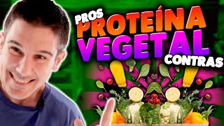 PROTEÍNA VEGETAL ✅ Pros ❌ Contras 🧆 Mejores Fuentes [upl. by Redleh]