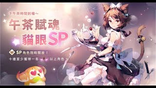 喵炭 Sdorica 貓眼SP測試  C156C1510 挑戰 [upl. by Asert100]