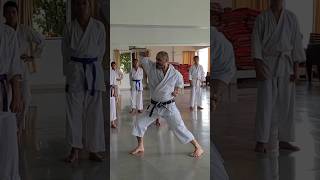 Kihon Uke waza Kagayaku Karate kagayaku karate martialarts [upl. by Gnilrad]