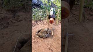 Survival Skills SIMPLE and USEFUL withTrap frogs Using a 150 m bottle camping outdoors [upl. by Herta]