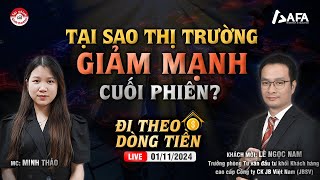 TẠI SAO THỊ TRƯỜNG GIẢM MẠNH CUỐI PHIÊN  ĐTDT 01112024 [upl. by Artimid914]