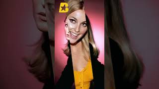 Sharon Tate Biography  Life Love and Murder shorts sharontate biofamous biography [upl. by Nahsin]