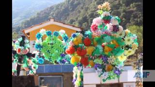 Guirnaldas cementerio de Tarija [upl. by Ewell]