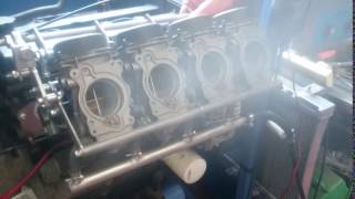 48mm Bike Carbs on the danST Engineering 1800 Zetec Test Rig [upl. by Vite502]