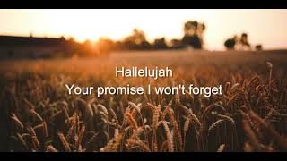 Remembrance  Hillsong Lyric Video [upl. by Gennaro]