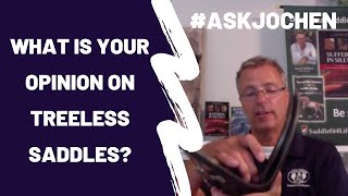 What Is Your Opinion on Treeless Saddles  ASKJochen Livestream Excerpt [upl. by Anivlac]