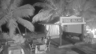 Palms at Pelican Cove Beach Resort St Croix USVI [upl. by Atteuqehs]