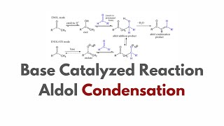 Base Catalyzed Reaction Aldol Condensation  Explained in Urdu amp Hindi [upl. by Ahsimet]