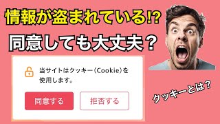 初心者でも分かるCookieクッキーって何？ 学び直し 同意はするべき？ [upl. by Vitoria167]