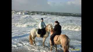 gut Pferde Reiten am Meer  Strandritte Sylt  geniale Erlebnisse  ohne Dressur amp Springen 2014 [upl. by Trenna]