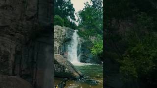 Mandaram nuwara waterfall shorts srilanka green [upl. by Akital]