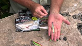 How to use amp rig Soft Plastics  The Hook and The Cook [upl. by Acinahs]