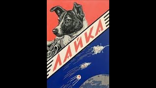 Space dog Laika is launched to his death November 3 1957 [upl. by Ettenor581]