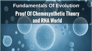 Proof Of Chemosynthetic Theory RNA World [upl. by Klimesh]