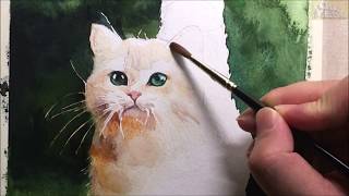 Watercolor animal painting of cat speed amp 5x painting 고양이 수채화 채색 [upl. by Ailehc44]