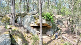 Forest Full of Stone Creatures [upl. by Laufer]