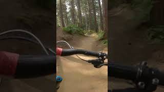 CHICKSANDS MTB💥Snake Run mtb bike downhill chicksands bikepark jumps [upl. by Ashjian829]