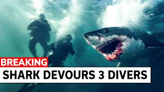 Shark Ambushes Group of Divers Then THIS Happens [upl. by Elletsirk837]