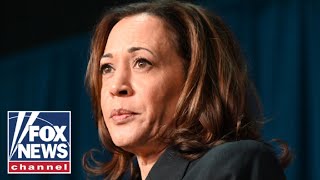 YOURE LOSING ExGeorgia rep gives telltale sign Harris support is dismal [upl. by Nwavahs485]