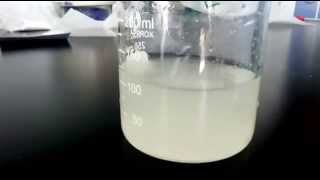 Solubility demonstration for Chondroitin sulfate plus glucosamine Mix Powder for Joint health [upl. by Adnical]