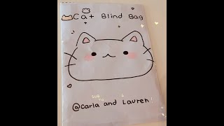 Cat blind bag Cat 🐱 Idea from theroannechannel8326 [upl. by Nolad]