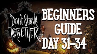 Dont Starve Together Guide  Beginners Guide  Day 31  34  Eyebrella Tents amp Gobbler Traps [upl. by Neron]